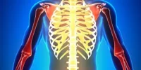 Presidente Lula assina lei que inclui a fibromialgia no rol de deficiências reconhecidas oficialmente no Brasil.